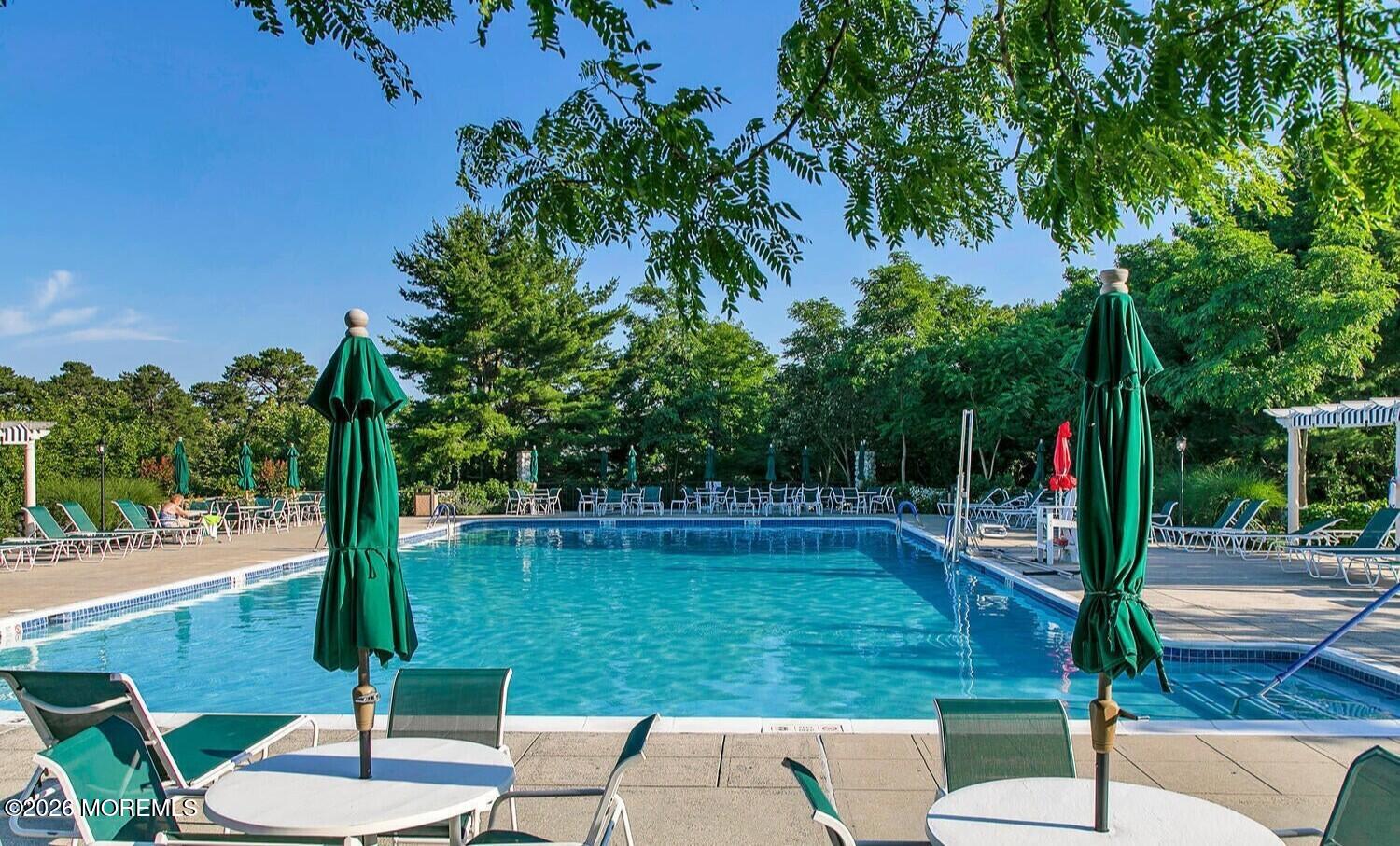 20 Crooked Stick Road Jackson, NJ 08527 - Photo 29 of 32 Outdoor pool