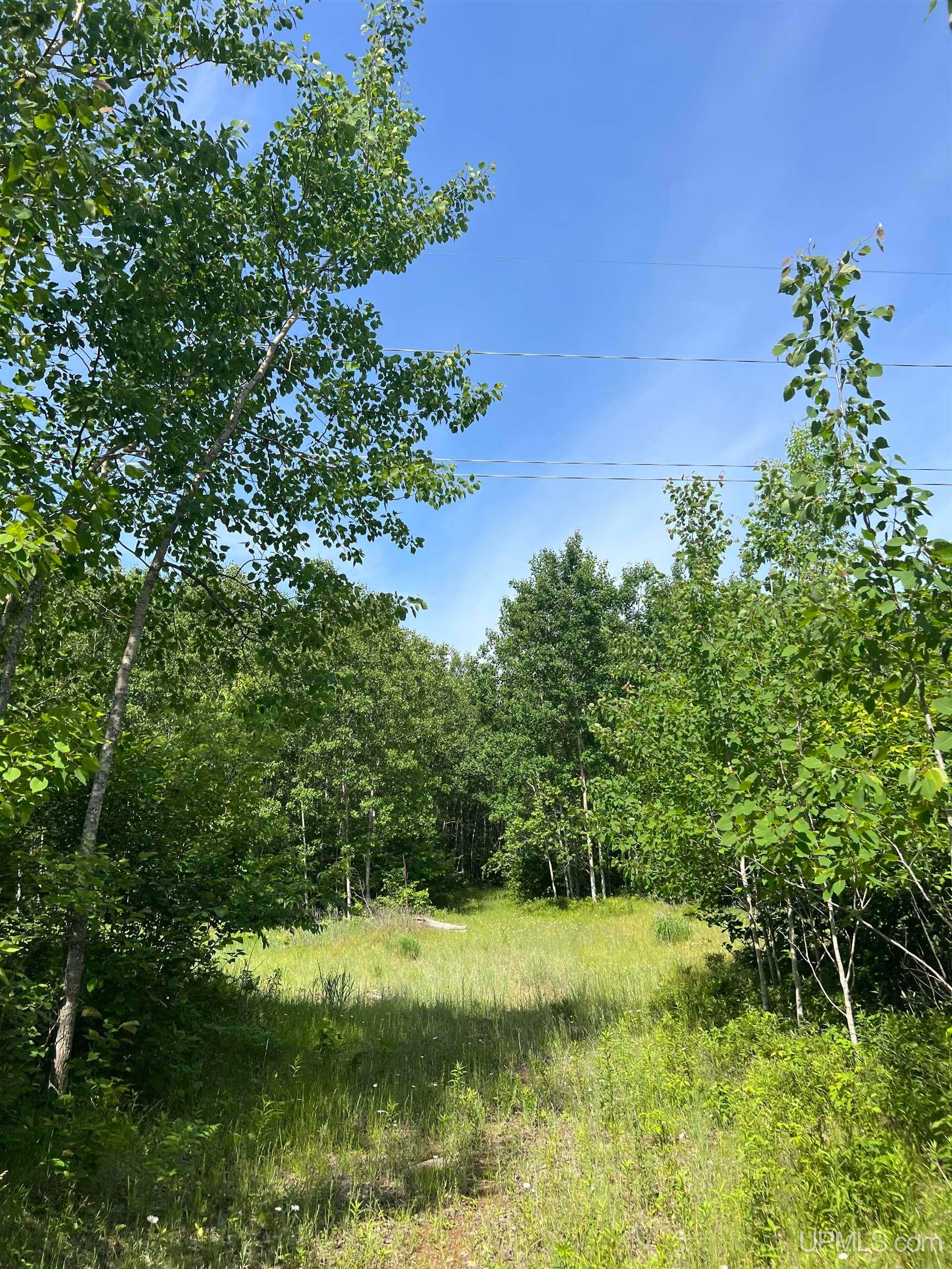Tbd Chalk Hills Road Daggett, MI 49821 - Photo 8 of 59 Gallery Image 8