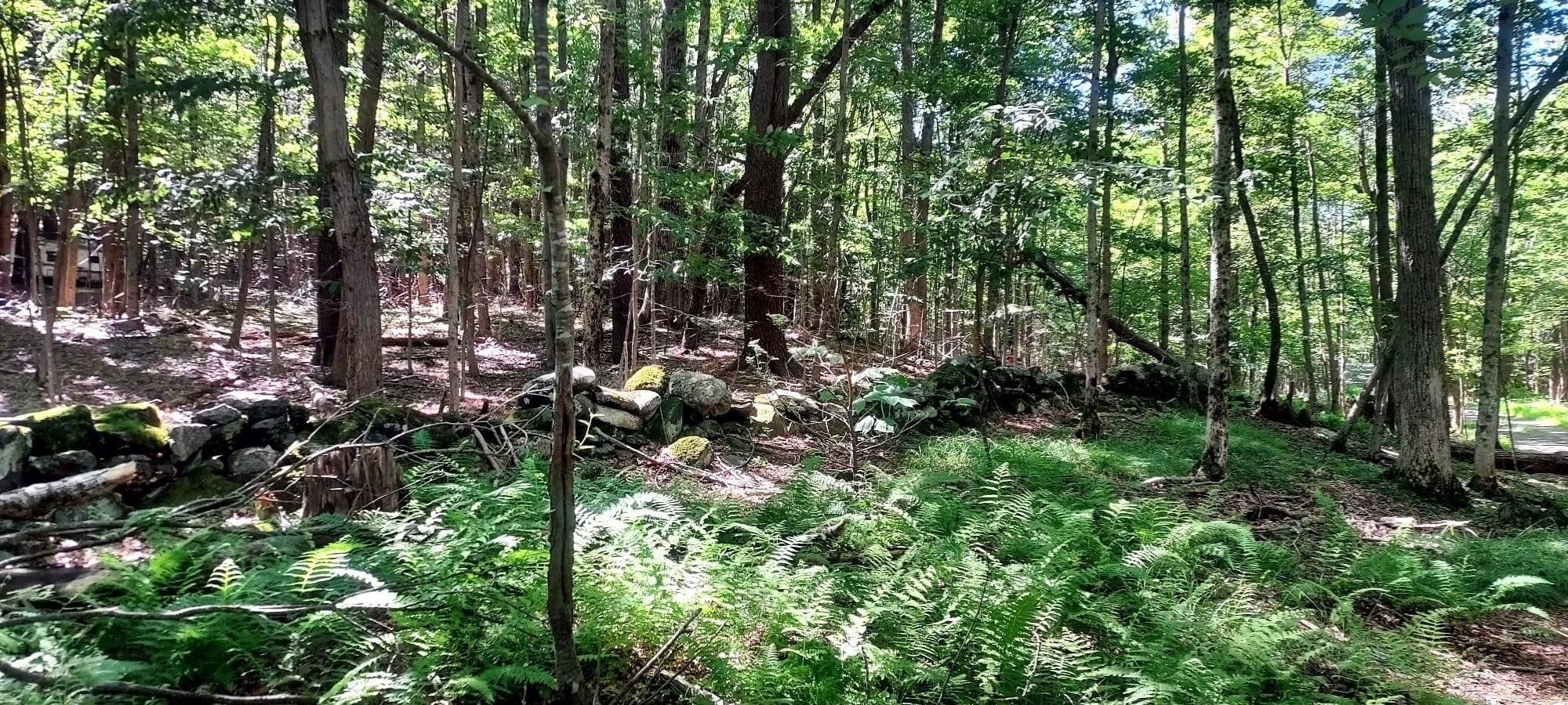 89 Bird Hill Road Ashfield, MA 01330 - Photo 13 of 19 Gallery Image 13