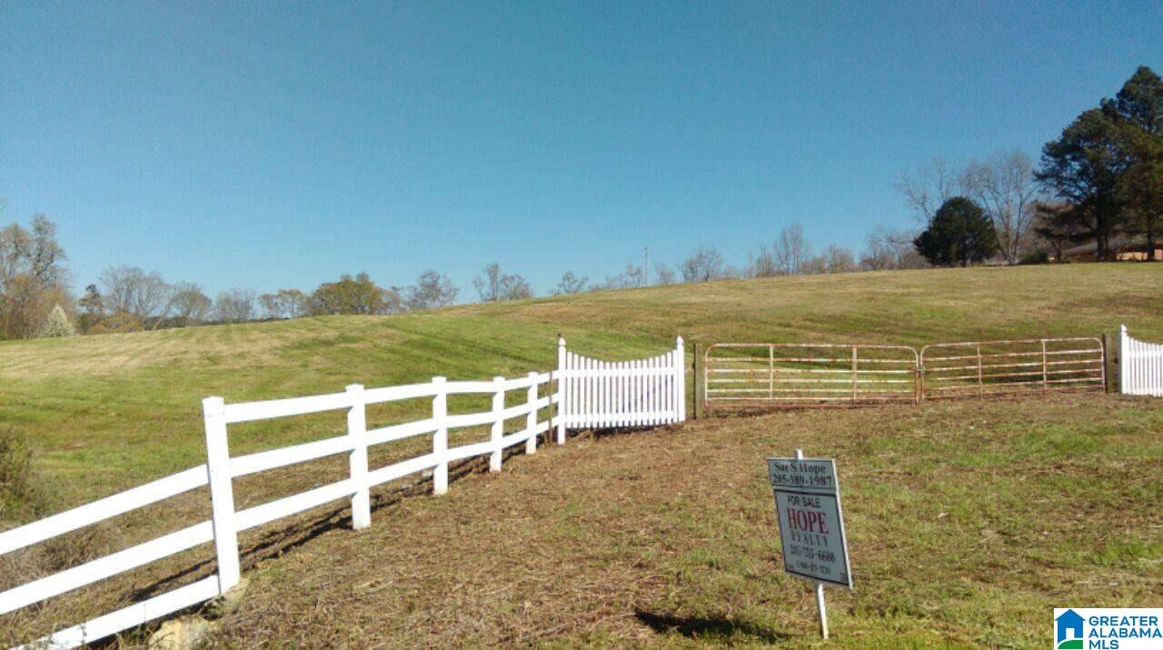 1815 County Road 5 Jemison, AL 35085 - Photo 2 of 5