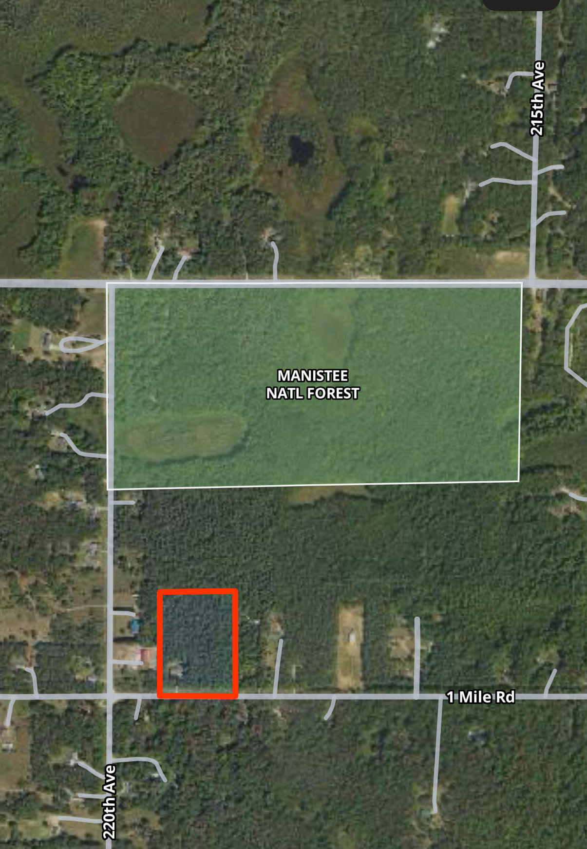 21926 1 Mile Road Morley, MI 49336 - Photo 24 of 35 1 mile pic 2