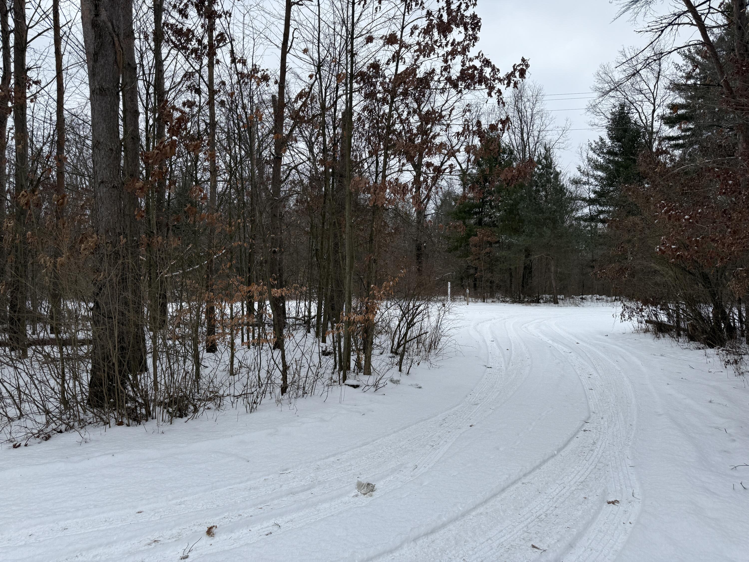 21926 1 Mile Road Morley, MI 49336 - Photo 28 of 35 IMG_0494