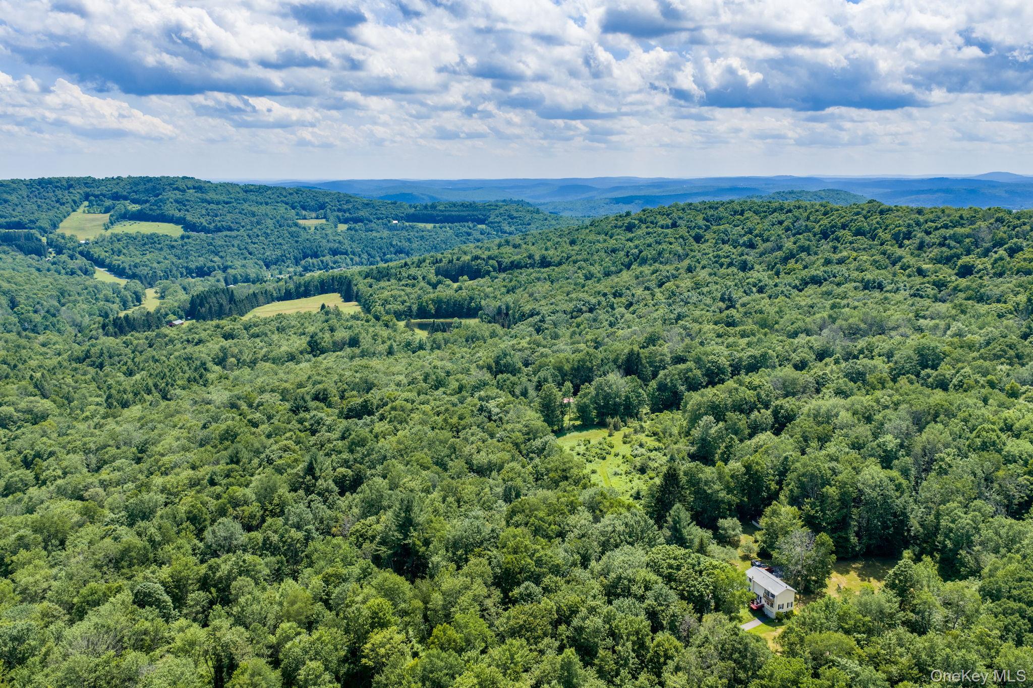 10 Hoffman Road Hankins, NY 12741 - Photo 42 of 46