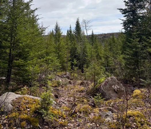 $42,000 | Lot 10 Morrison Brook, Unit ACRES, Oakfield, ME 04763