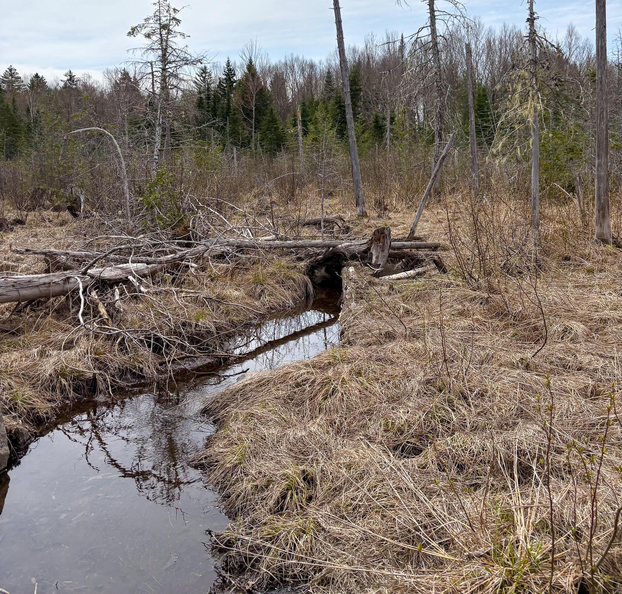 Lot 10 Morrison Brook, Unit ACRES Oakfield, ME 04763 - Photo 13 of 22 IMG_20260427_082615