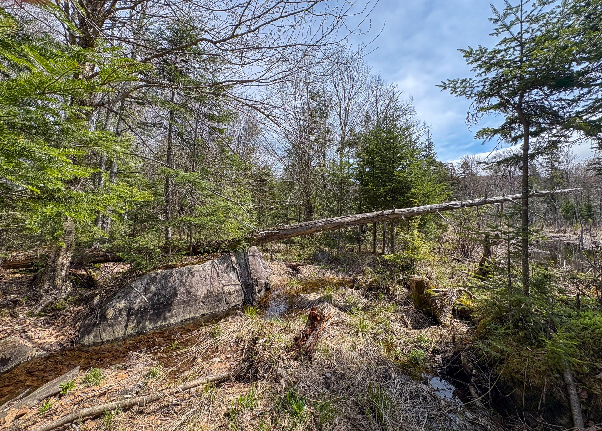 Lot 10 Morrison Brook, Unit ACRES Oakfield, ME 04763 - Photo 20 of 22 IMG_20260427_082704