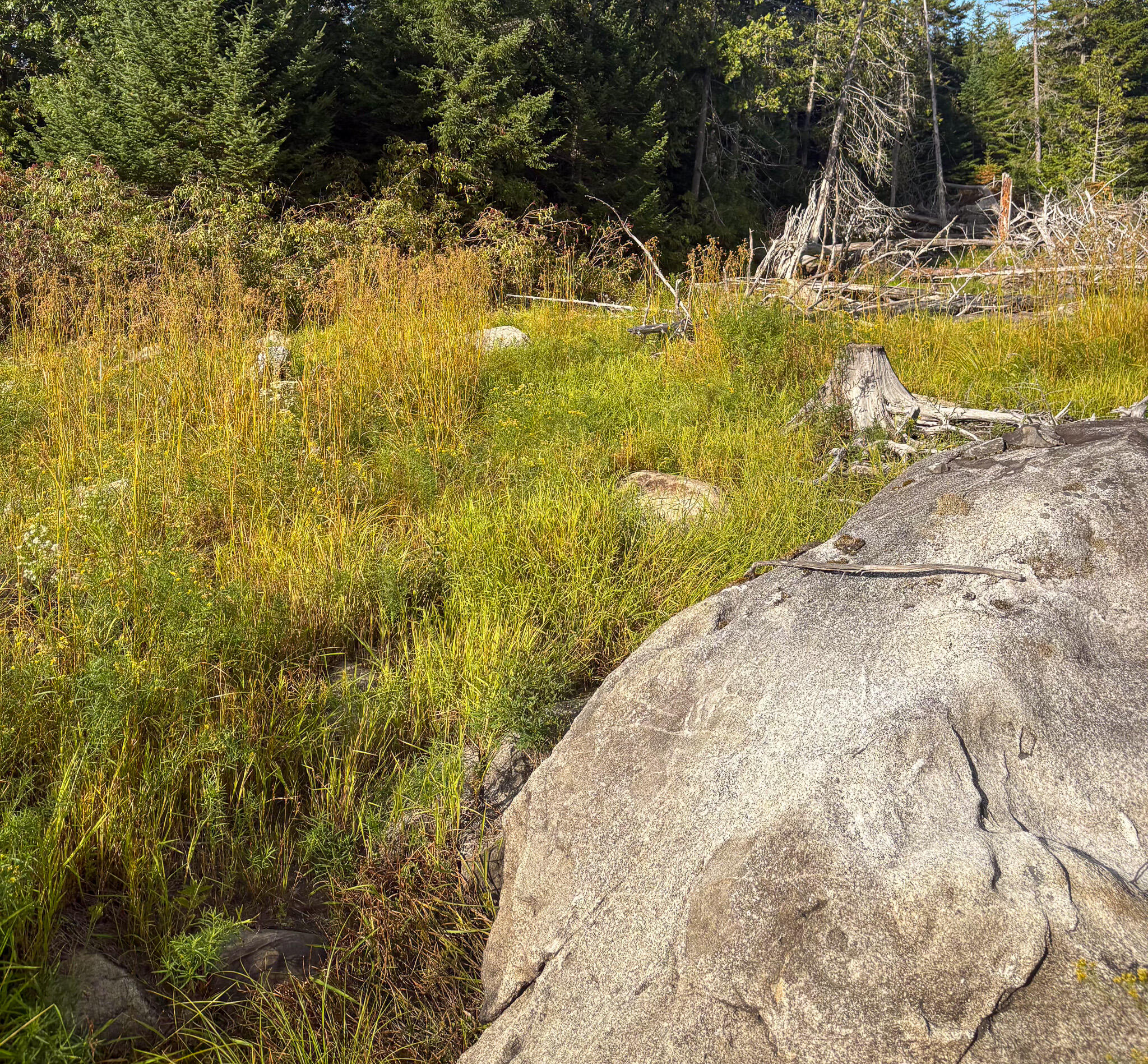 Lot 10 Morrison Brook, Unit ACRES Oakfield, ME 04763 - Photo 3 of 22 IMG_20260427_082455
