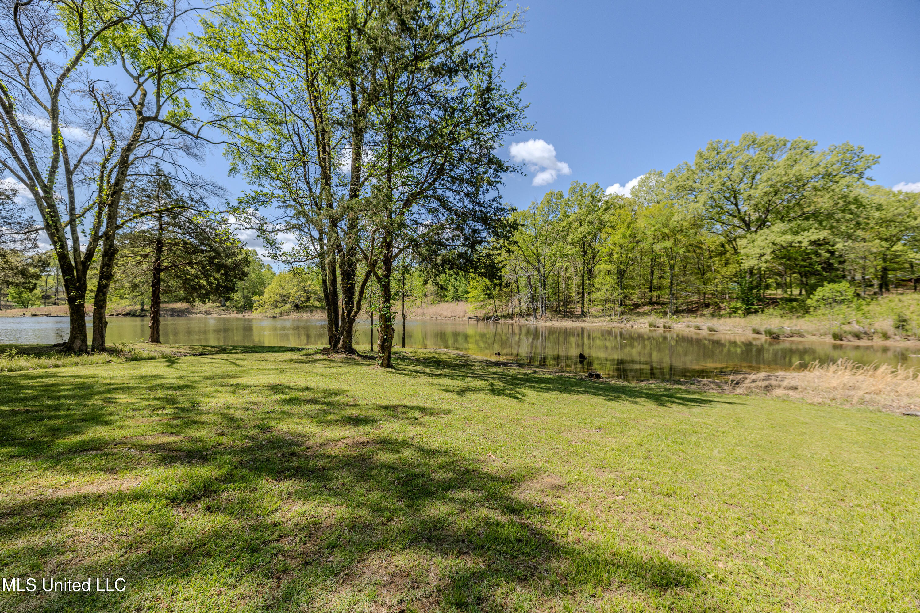 1651 Malone Road Nesbit, MS 38651 - Photo 25 of 59 Malone-24