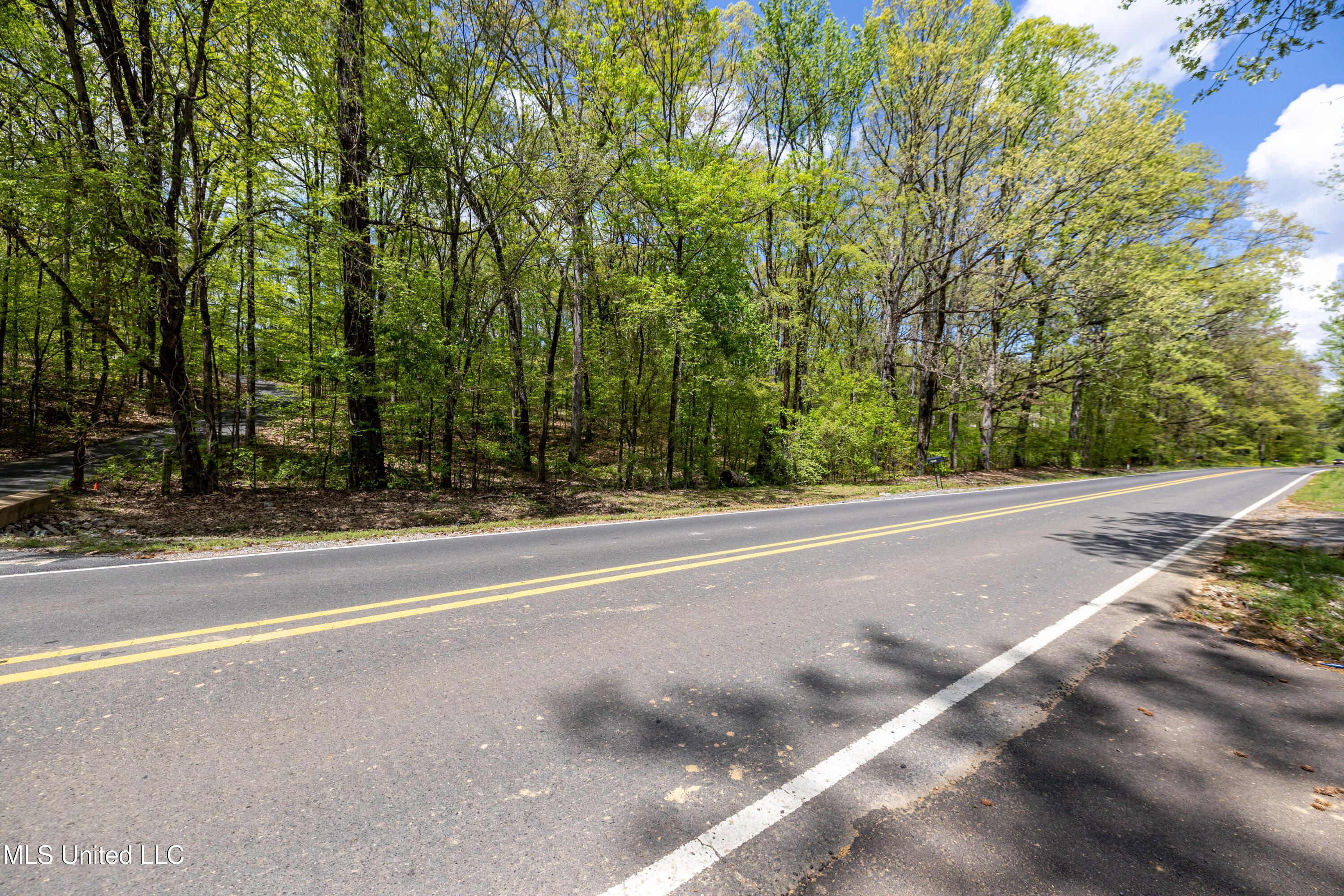 1651 Malone Road Nesbit, MS 38651 - Photo 59 of 59 Malone-60