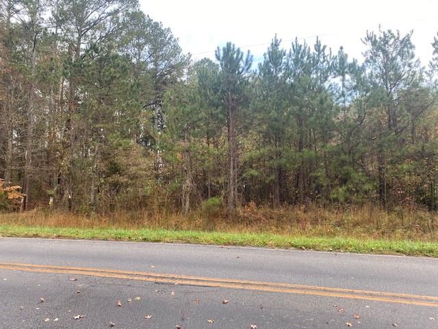 4318 Hester Town Road Rutledge, GA 30663 - Photo 11 of 21 a view of a yard