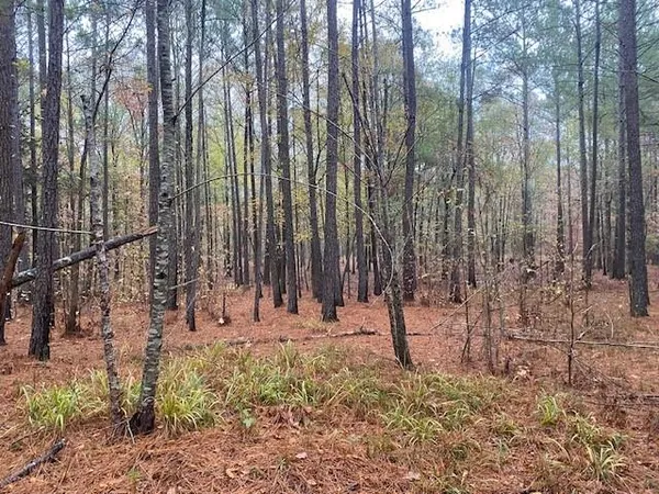 a view of outdoor space with trees
