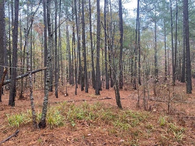 4318 Hester Town Road Rutledge, GA 30663 - Photo 12 of 21 a view of outdoor space with trees