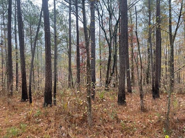 4318 Hester Town Road Rutledge, GA 30663 - Photo 15 of 21 a view of forest