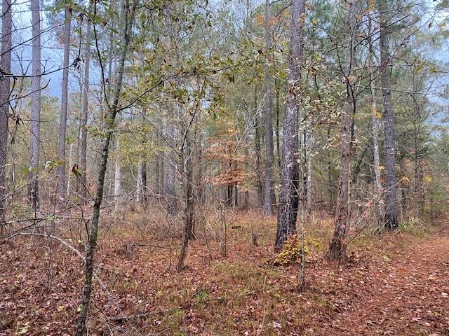 4318 Hester Town Road Rutledge, GA 30663 - Photo 16 of 21 a view of a yard