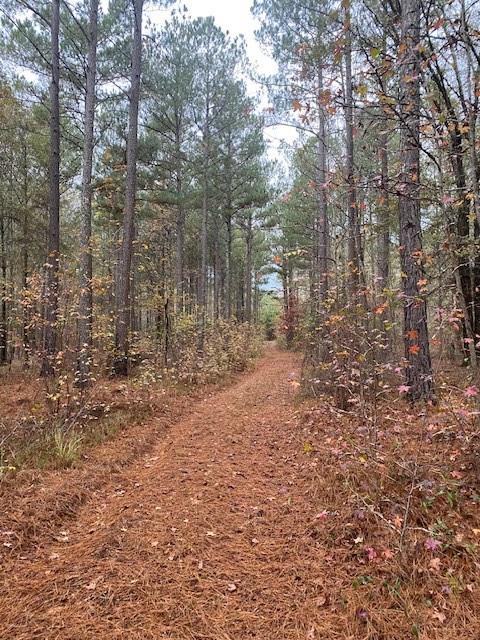 4318 Hester Town Road Rutledge, GA 30663 - Photo 18 of 21 a view of a yard with trees in the background
