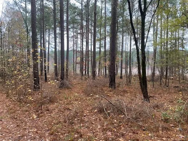 a view of outdoor space with lots of trees