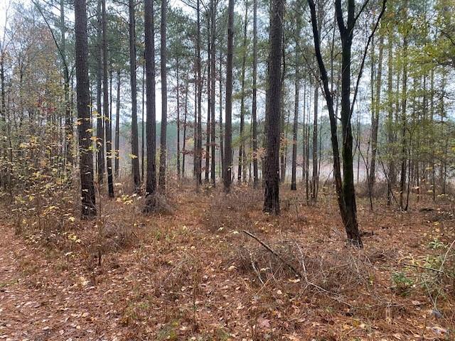 4318 Hester Town Road Rutledge, GA 30663 - Photo 19 of 21 a view of outdoor space with lots of trees