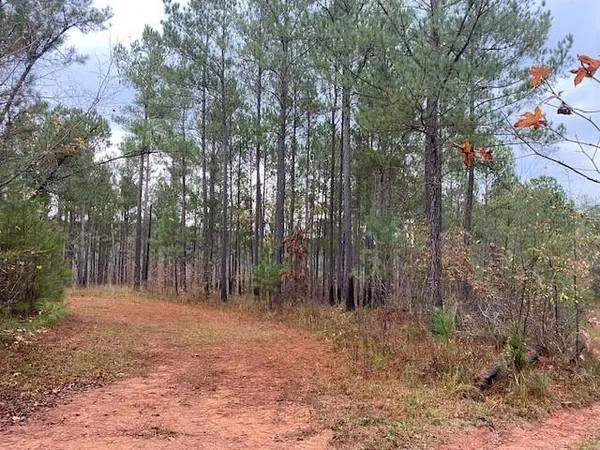 a view of outdoor space with trees