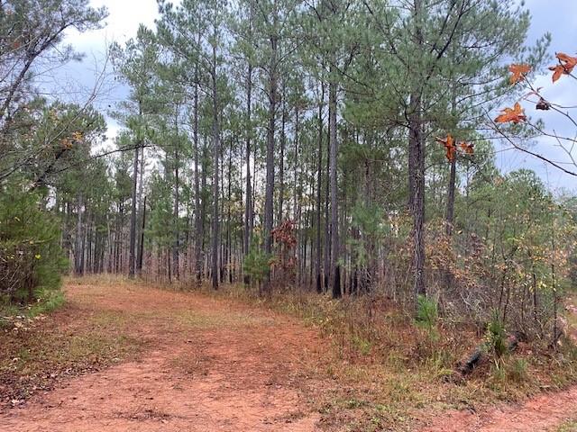4318 Hester Town Road Rutledge, GA 30663 - Photo 20 of 21 a view of outdoor space with trees