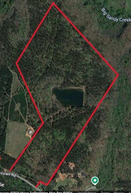 4318 Hester Town Road Rutledge, GA 30663 - Photo 2 of 21 a view of a small yard