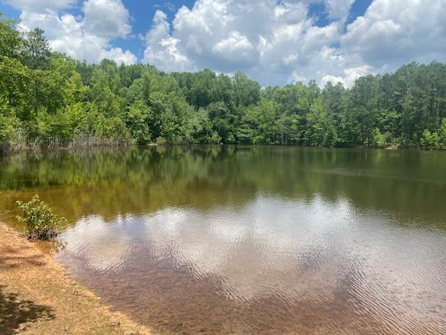 4318 Hester Town Road Rutledge, GA 30663 - Photo 4 of 21 a view of a lake