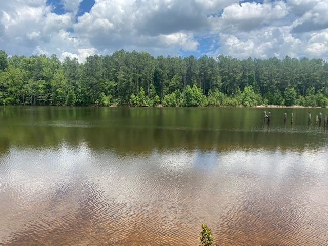 4318 Hester Town Road Rutledge, GA 30663 - Photo 5 of 21 a view of a lake