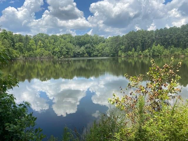 4318 Hester Town Road Rutledge, GA 30663 - Photo 7 of 21 a view of a lake with a yard and trees