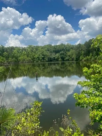 a view of a lake from a yard