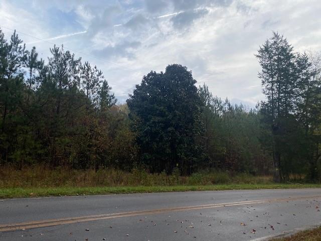 4318 Hester Town Road Rutledge, GA 30663 - Photo 10 of 21 a view of a yard