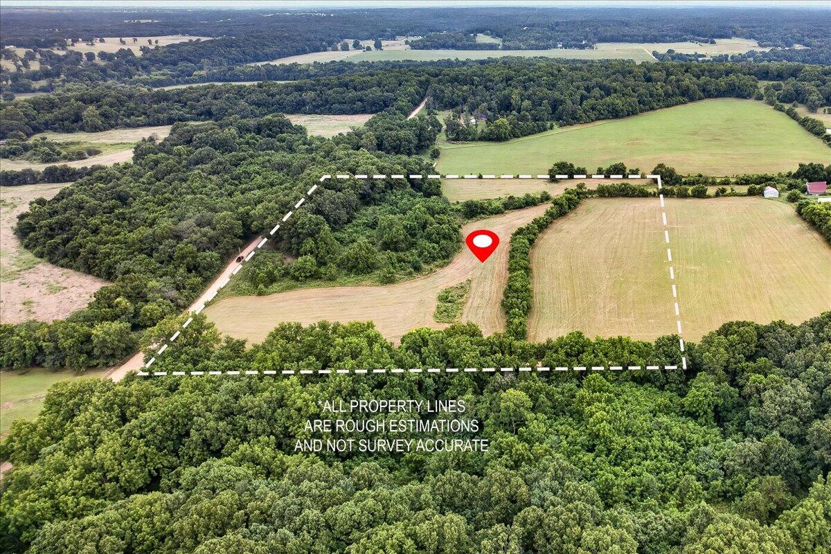 0 Little Mill Road Granby, MO 64844 - Photo 6 of 10 03-001_North