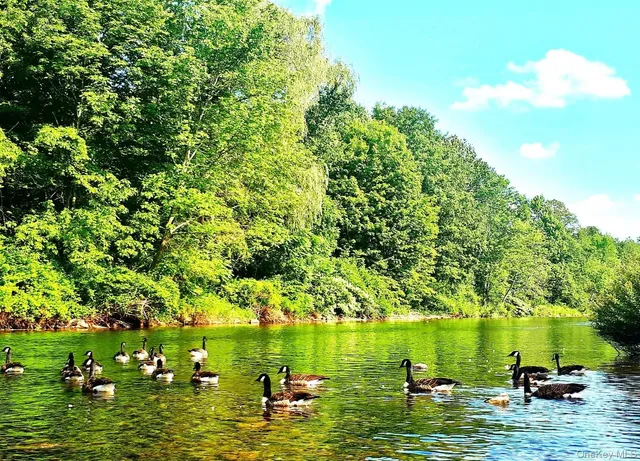 a view of a lake view