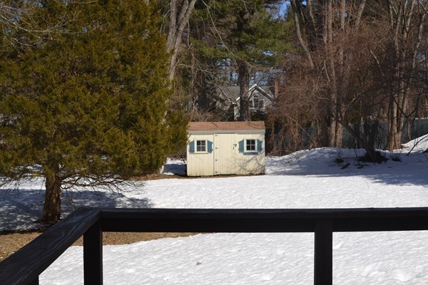 110 Boston Post Road Wayland, MA 01778 - Photo 20 of 20 a view of a terrace with a tree
