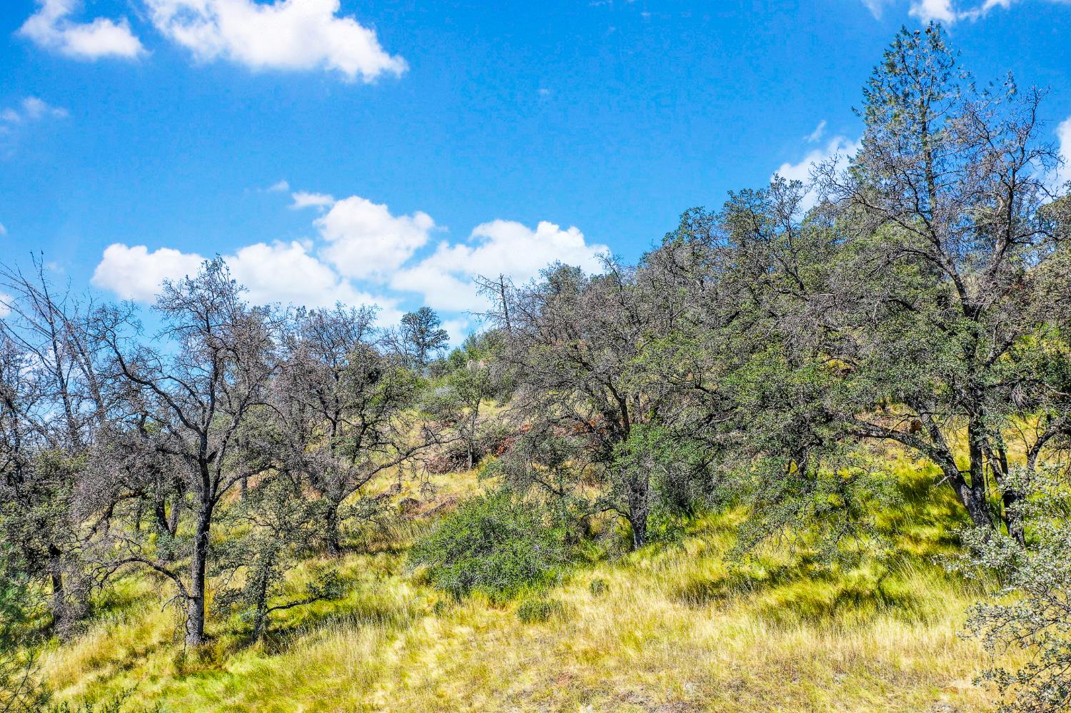 29 Township Road Browns Valley, CA 95918 - Photo 44 of 62 Gallery Image 44