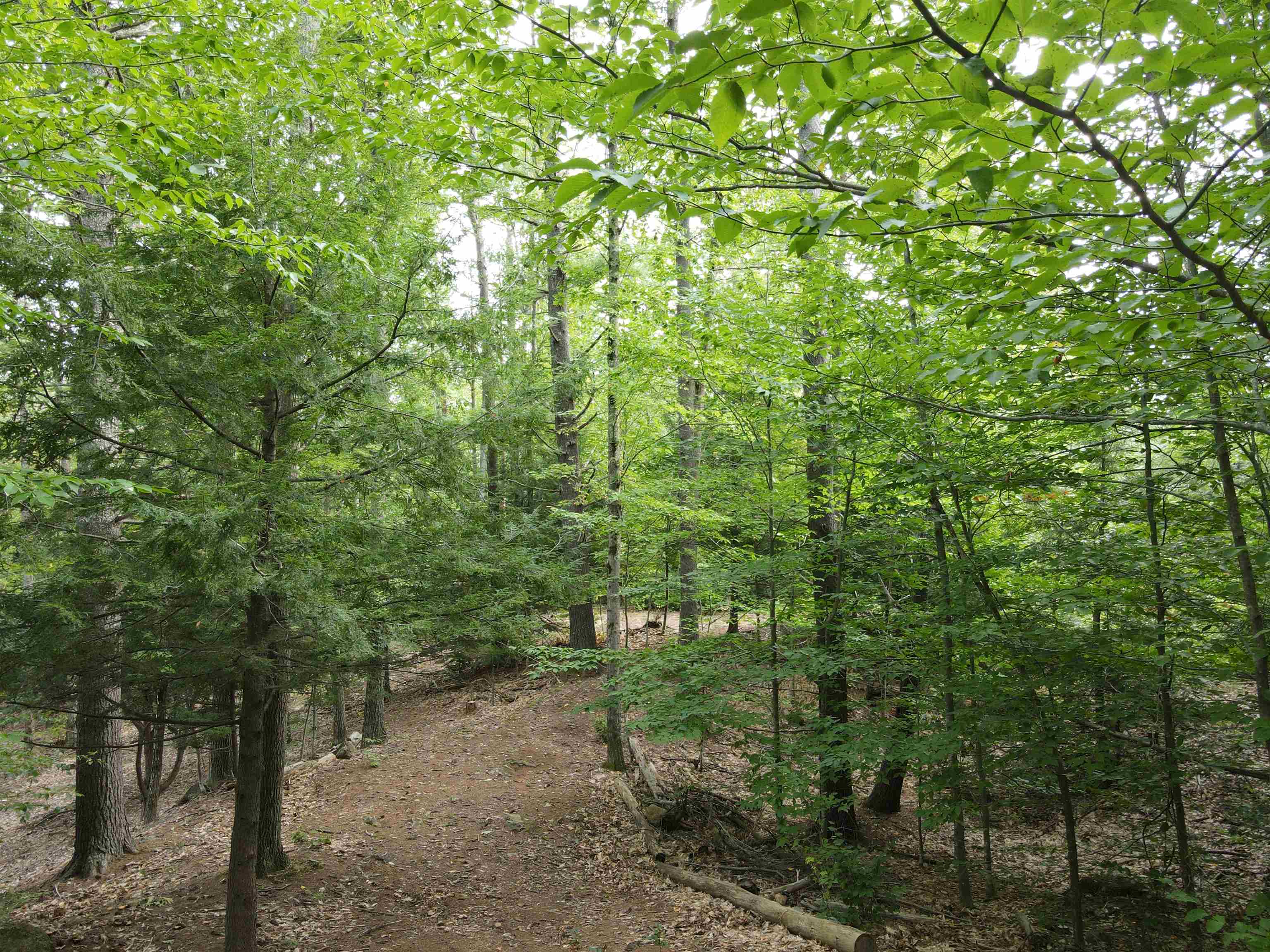 786 East Deering Road Deering, NH 03244 - Photo 29 of 40