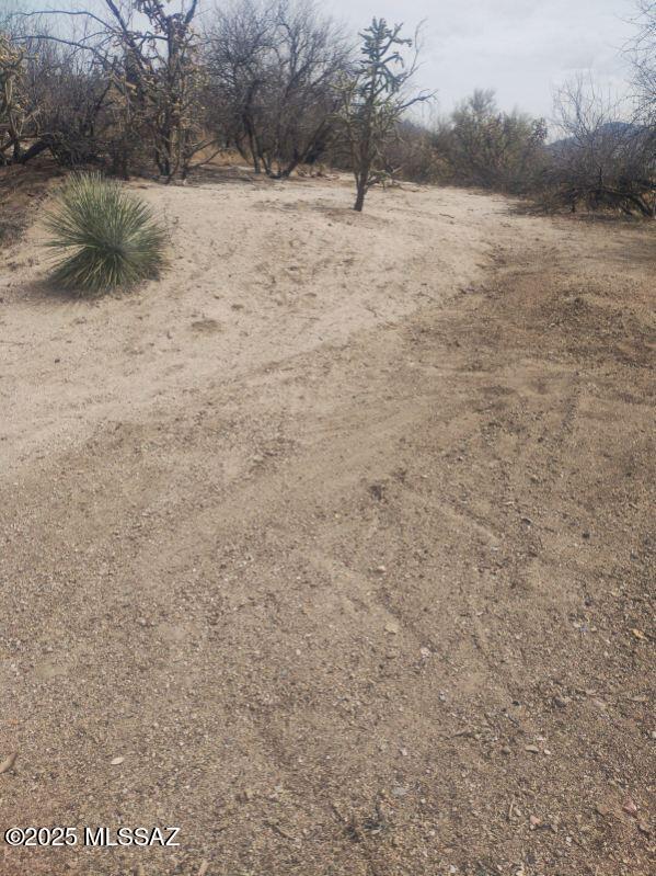 4320 East Wilds Road Tucson, AZ 85739 - Photo 8 of 9