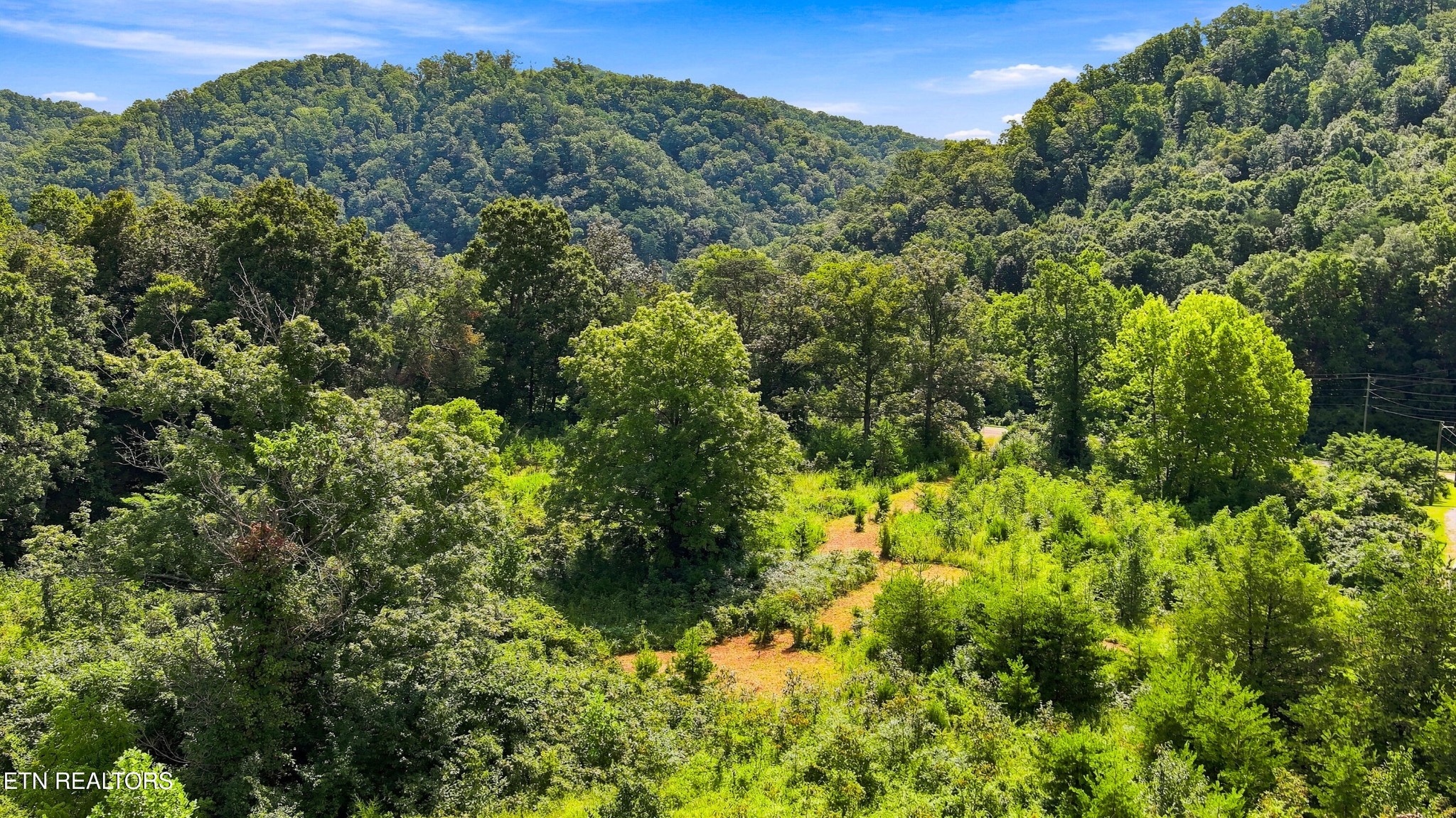 130 Beard Valley Road Maynardville, TN 37807 - Photo 18 of 24 Gallery Image 18