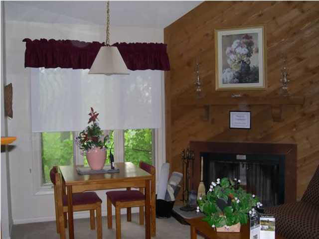 459 Three Ridges Roseland, VA 22967 - Photo 4 of 8 Gallery Image 4