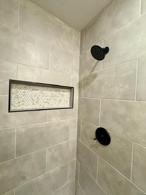 2509 30th Street Lubbock, TX 79410 - Photo 26 of 31 a bathroom with a shower