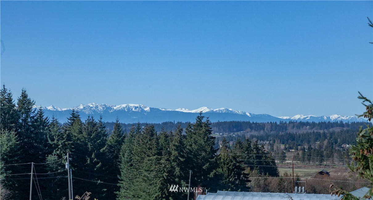 2881 East Meinhold Road Langley, WA 98260 - Photo 2 of 25 Gallery Image 2