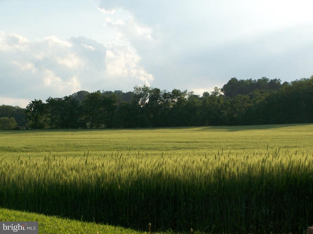 3003 Harvest Road Elizabethtown, PA 17022 - Photo 19 of 26