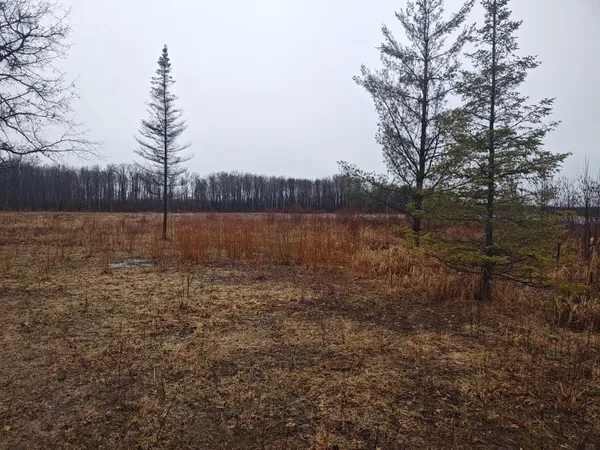 $59,900 | 0 Owl Drive, Houghton Lake, MI 48629