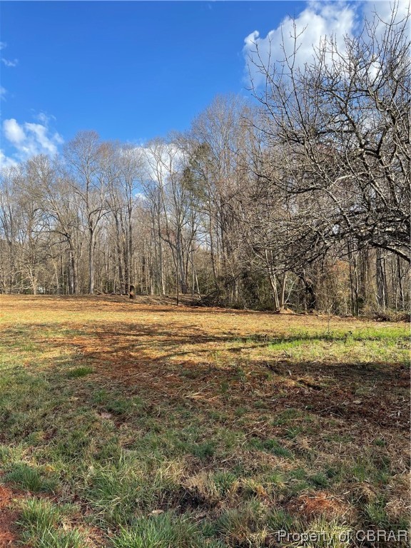 2.07-ac Old Pinetta Road Gloucester, VA 23061 - Photo 3 of 16