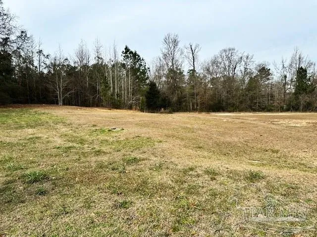 a view of a pool with a yard