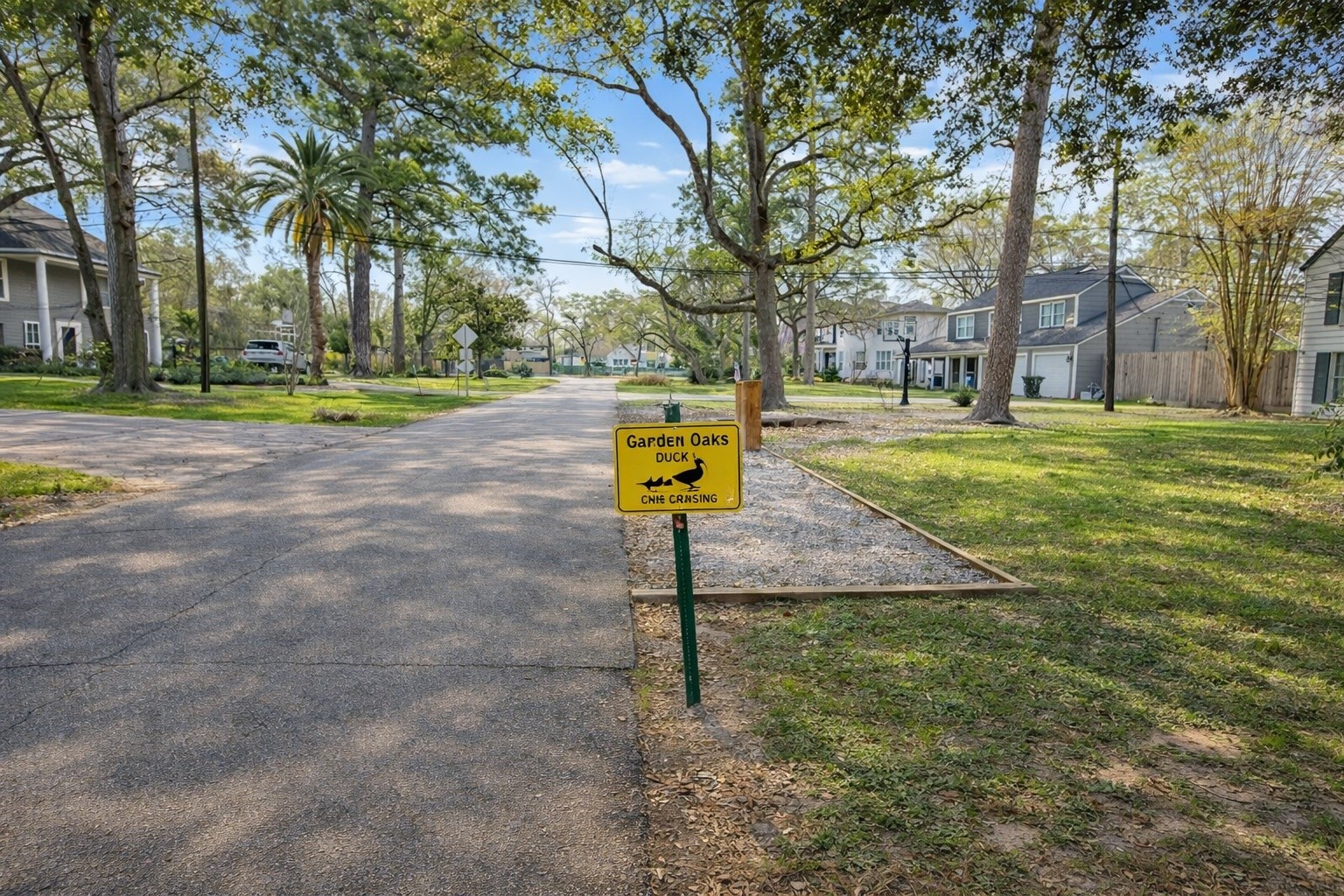 830 Azalea Street Houston, TX 77018 - Photo 36 of 50 Duck crossing ahead. Only two story homes only on this block of Azalea per deed restrictions keeps the streetscape balanced and gives the whole block a storybook neighborhood feel. It is the kind of place where kids play outside and everyone knows the ducks. There are loads of mature trees, and plenty of room for bikes, scooters, and backyard fun.