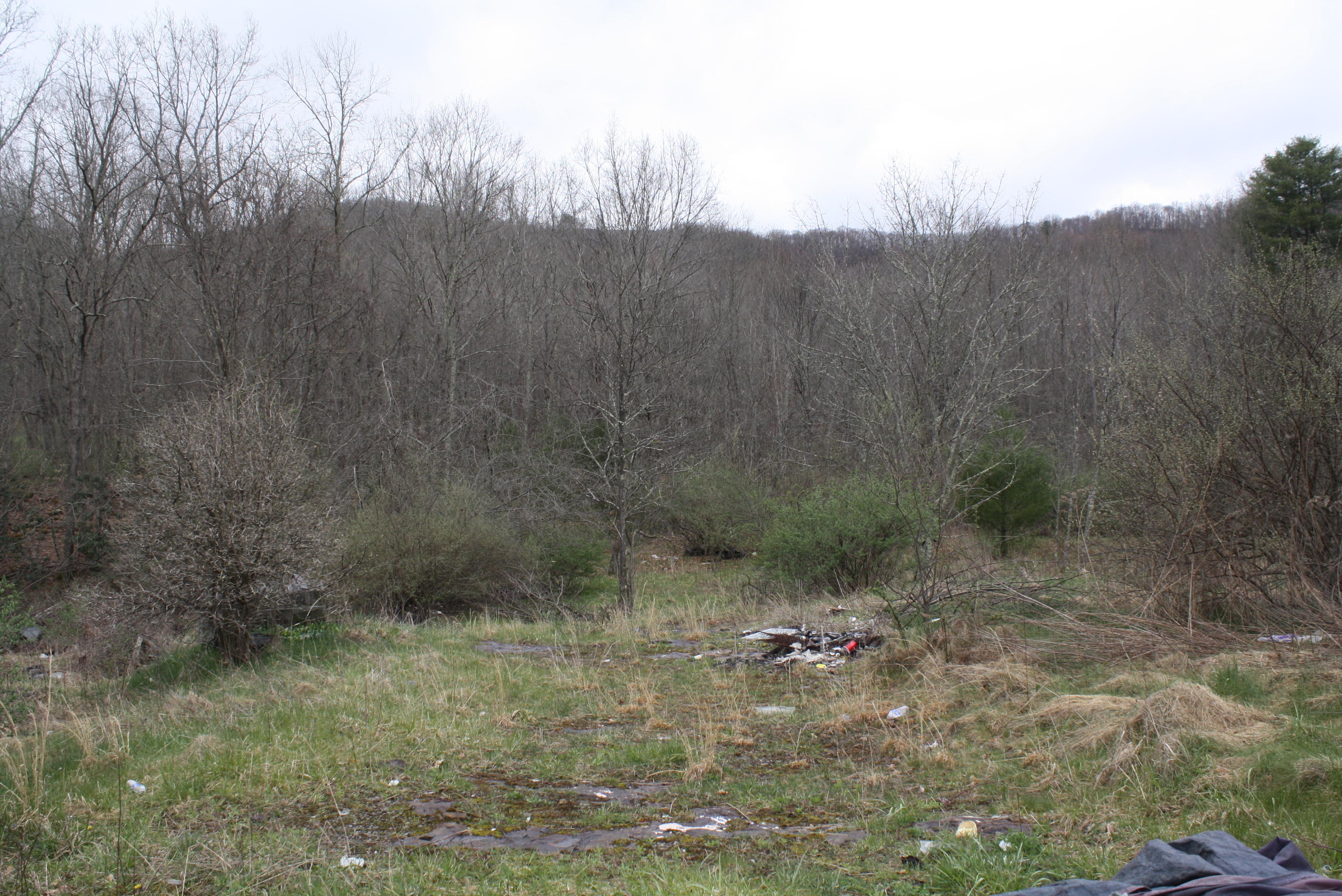 Will Dodd Road Jumping Branch, WV 25969 - Photo 5 of 9 Gallery Image 5