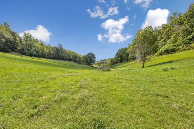a view of a field with an trees