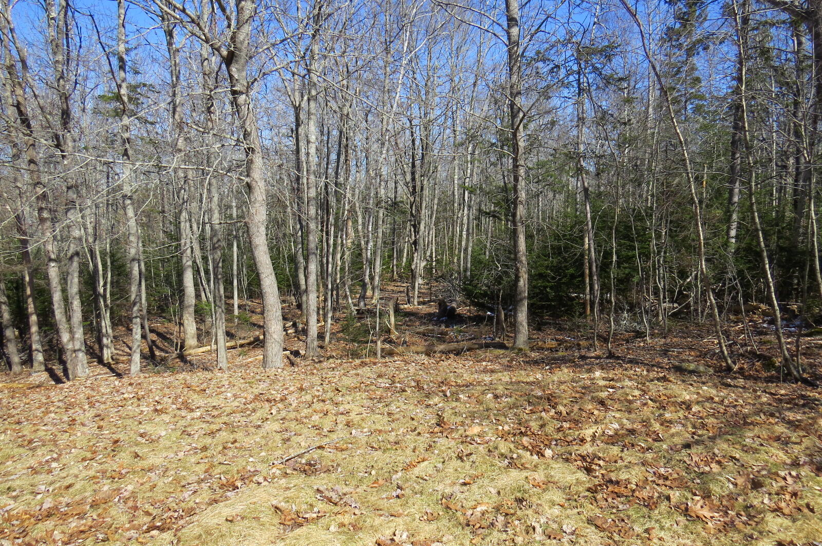 137 Seal Point Road Lamoine, ME 04605 - Photo 36 of 47 IMG_8799
