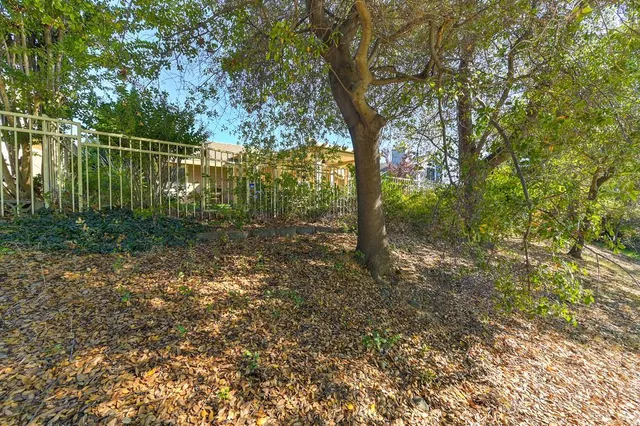 a view of a forest with trees