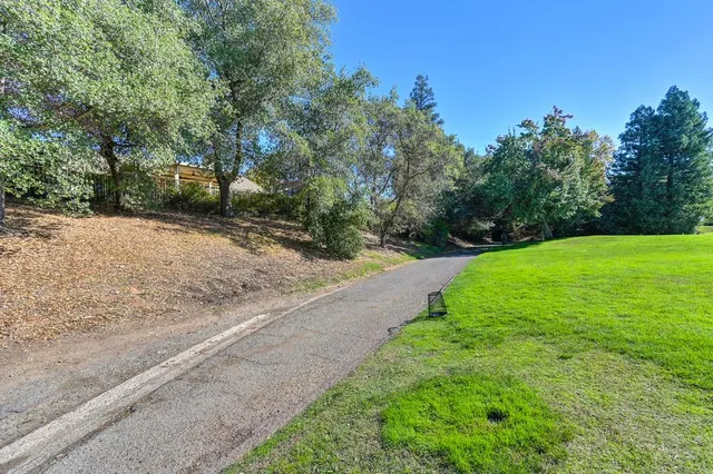 a view of a yard with a tree