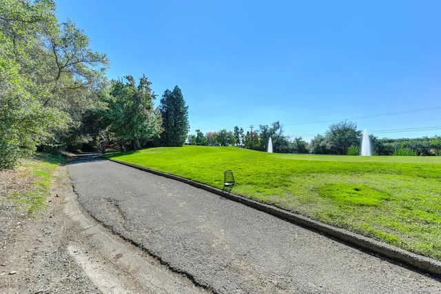 a view of a field with grass and a trees